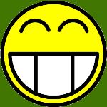 Smiley - Wecrash Emoticon
